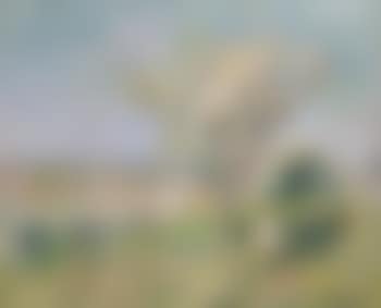 Arbres en fleurs à Eragny (preview)