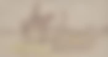Outback stockmen (preview)