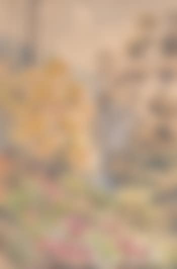 Marcedon landscape with wildflowers (preview)