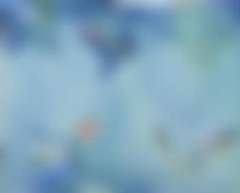 Aquatic (preview)