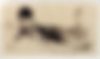 Figura (preview)