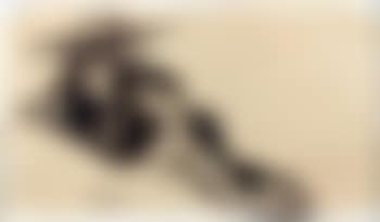 Figura (preview)