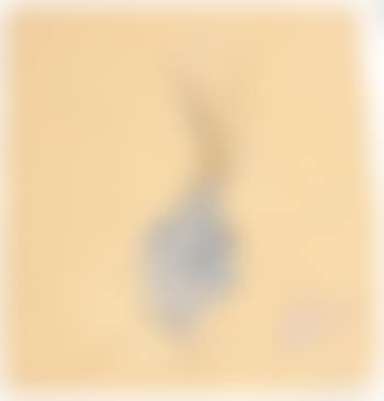 Oignon (preview)