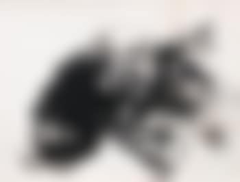 Composition (preview)