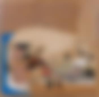 Sans titre (preview)
