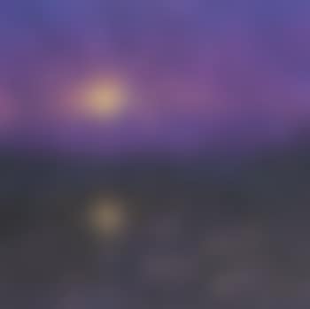 Barmah Forest (preview)