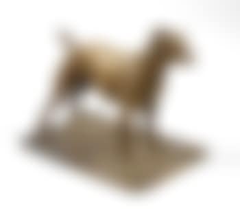 Chien royal terrier (preview)