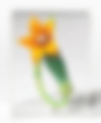 Fiore di zucchino (preview)