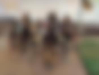 Trabrennen (preview)