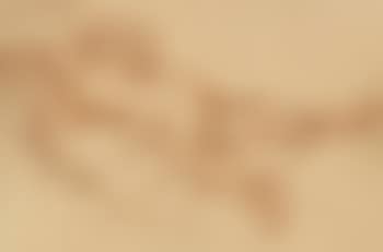 Venus (preview)