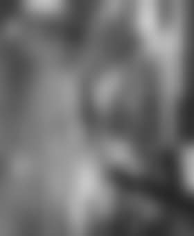 Window, Bridal Couple, New York (preview)