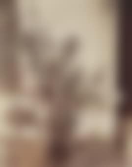 Oleander, (preview)