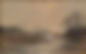 View of marsh in mist (preview)