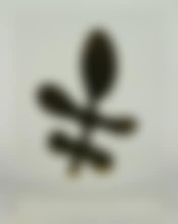 Blad (preview)
