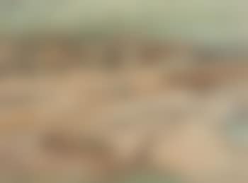 Beach at Ogunquit, Maine (preview)