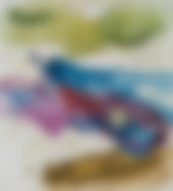 Der Vogel (preview)