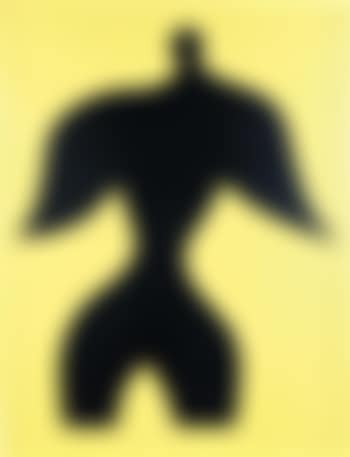 Homme oiseau (preview)