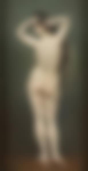 Jeune fille nue de dos (preview)