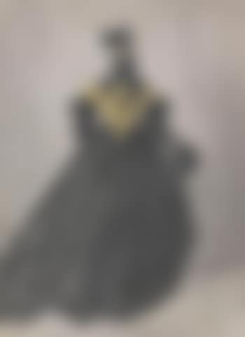 Dame in großer Robe von hinten gesehen (preview)