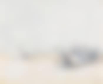 Am Strand von Trouville (preview)