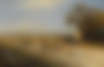 Abendstimmung in der Campagna (preview)