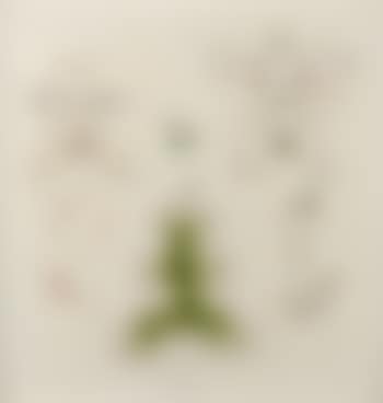 Screen memory 0 (lotus root or fruit) (preview)
