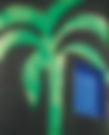 Palm And Window (H. 88) (preview)