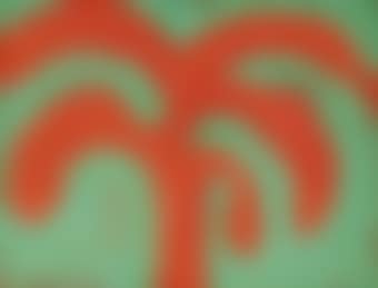Indian Tree (H. 85) (preview)