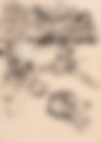 Cows (preview)