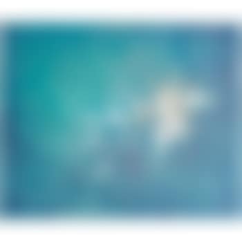 Cyphante (preview)