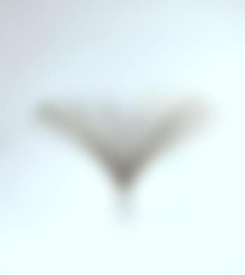 Ohne Titel (preview)