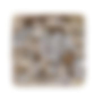 Inclusion (preview)