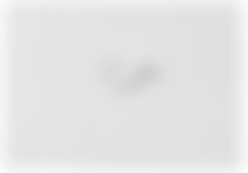 Ohne Titel (Traffic Paint) (preview)