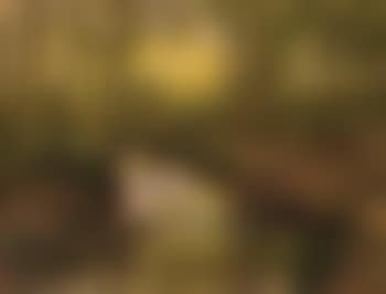 Landscape with brook (preview)