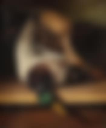 Couple de colverts (preview)