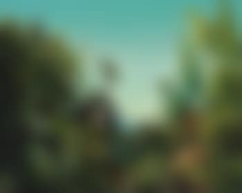 Leonora In The Morning Light (preview)