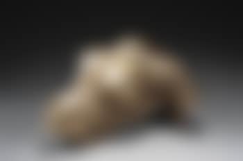 Magnetic evidence (preview)