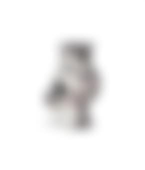 Wood-Owl with Feathers (A.R. 122) (preview)