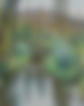 Le vert et les premières maisons de Labastide (preview)