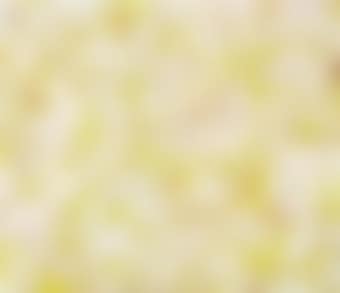 Tighter Flocky with Green Yellow (preview)