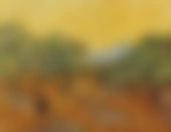 Olive Trees with Yellow Sky, After Vincent Van Gogh (Pictures of Pigment) (preview)
