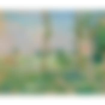 Paysage (preview)