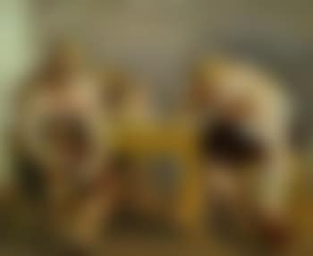 Drei Personen an Wirtshaustisch (preview)