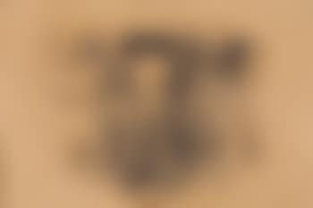Die Gefangenen (preview)
