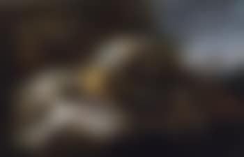 Nature morte avec poissons by Neapolitan School (preview)