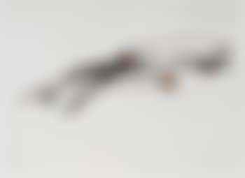 Ohne Titel (preview)