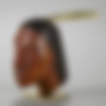 Head of a Native American (preview)