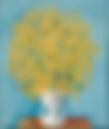Bouquet de mimosas (preview)