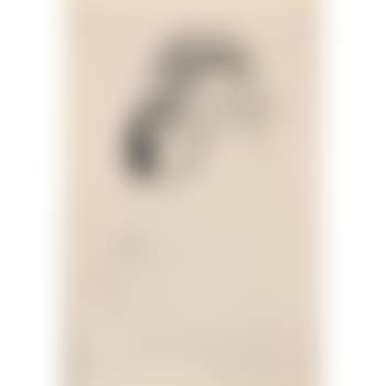 The picture book (no. 1) (Breeskin 176) (preview)