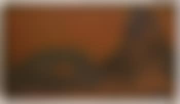 Desnudo (preview)